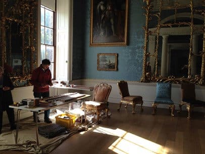 Conservation in action