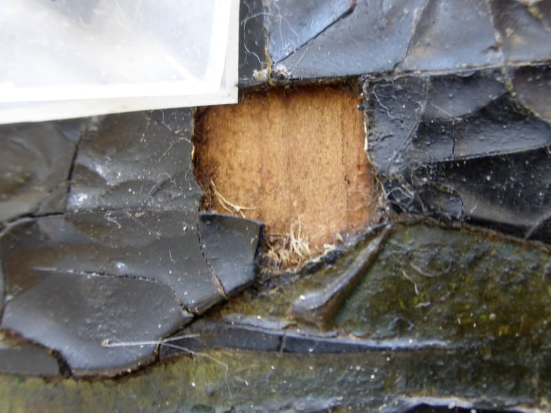 Substrate visible through a lacune