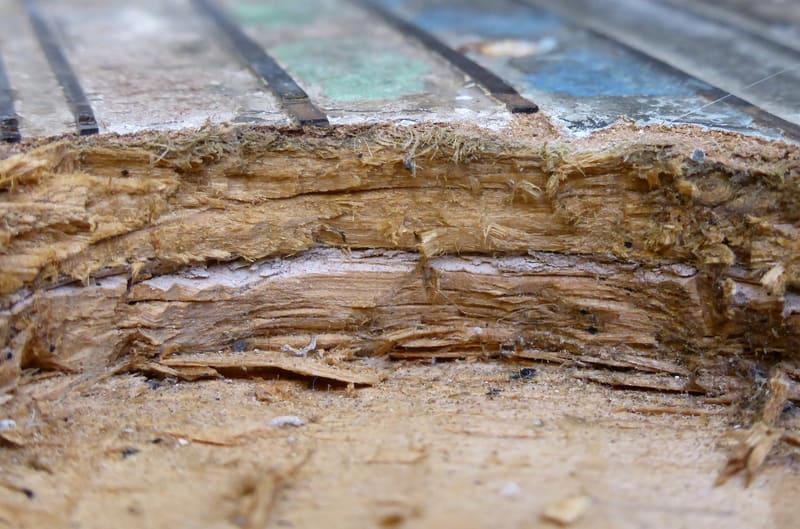 Cross-section of the substrate